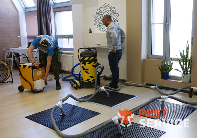 Профессиональная сушка после потопа в Россоши от 3000 руб. Быстро устраняем влагу, предотвращаем плесень и повреждения. Современное оборудование и опытные специалисты. Безопасно и эффективно.